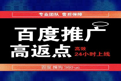 网络推广策略：竞价广告的实践案例
