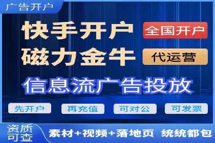 某公司信息流广告的精准投放与效果评估